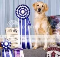 Starburst's Show Biz AXP AJP