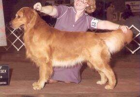 Karamor's Cody Karamor's Cody