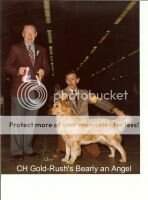 Gold-Rush's Bearly An Angel Gold-Rush's Bearly An Angel
