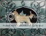 Mex CH Okeechobee's Johnny Be Good Mex CH Okeechobee's Johnny Be Good