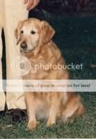 Am/Can Rick-Rack Dust Ruffle