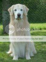 MOTCH & BDA Prospectors Otta B N Pictures AM/UCDX AGN ADC RN(MCL) CKC BDA NJ