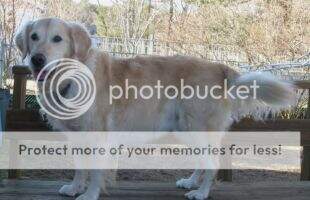 Beau Geste Momma's Boy Cody