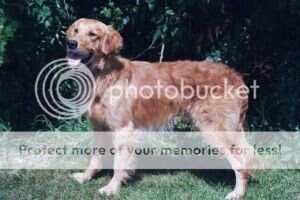 Heatherwood's Trailblazer