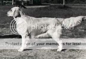 Solstrimmans First Lady