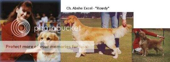 Aust Ch. Abshe Excel Aust Ch. Abshe Excel