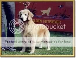 Br CH&GCH/ Pan CH. SOUTHERN GRACE KIMBERLY