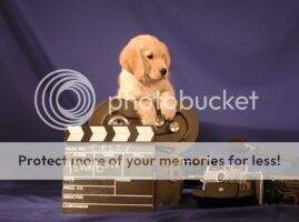 Goldcker's Leading Lady
