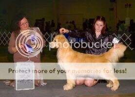 & CH Odyssey's In A Heart Beat