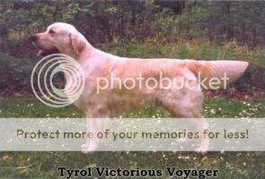 DKCH(U) Tyrol Victorious Voyager