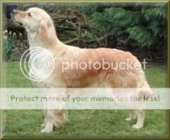 Garbank Romance JW Garbank Romance JW