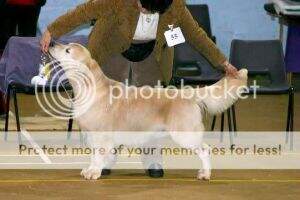 Ipcress Sir Thomas Ipcress Sir Thomas