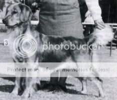 Bonnie Is Happy Trails Poppy