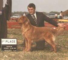 Camelot's Golden Jabber Jed