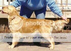 Mandingo Mairead