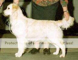 Chloe of Stonemead