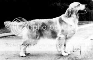 Furleigh Galaxie JW