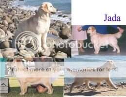 Granhill Artistry Never Say Never