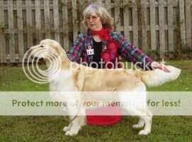 CM Purbarn Gales N Golden Rain JW SWGC CM Purbarn Gales N Golden Rain JW SWGC