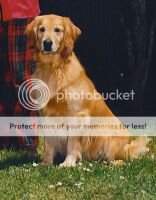 Winfield's Kadydid HRH AKC ThD;