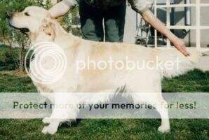 INTER Jackralee Onyx of Galans