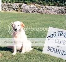 Sirius Rio