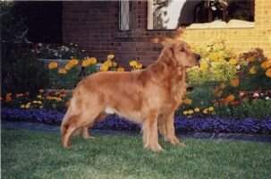Oriana the Zantor of Koerswell
