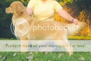 Arg LatinAm Inter Ch Twin-Beau-D Goldie Arg LatinAm Inter Ch Twin-Beau-D Goldie