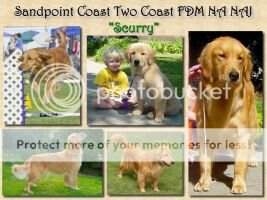 Sandpoint Coast Two Coast FDM