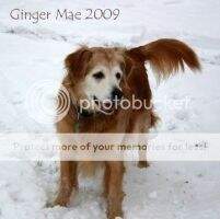 Ginger Mae Sullivan Ginger Mae Sullivan