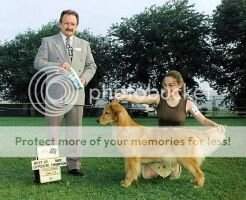 AKC, CKC, UKC CH Asoro's Abbey Road