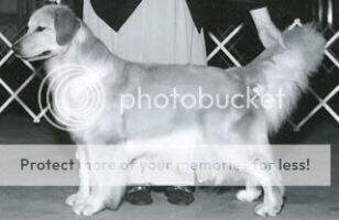 Masters-Emerald's Dream Lover Masters-Emerald's Dream Lover