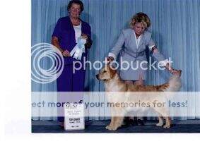 Storiline Miss Marple AGN