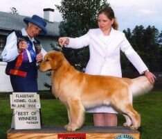 Rush Hill's Next Seattle Slew