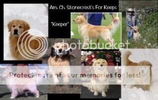 Stonecrest's For Keeps