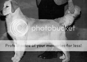 Goodtimes National Velvet