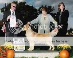 Spicewood's Casta Diva