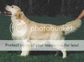 NU CH Sansue Watermark