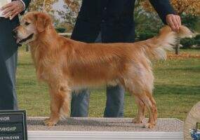 Windfall's Maxi-Million