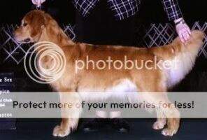 Boitano's Wishkeepers Promise RN Boitano's Wishkeepers Promise RN