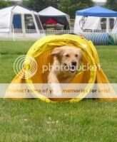 Goldigger's Jethro