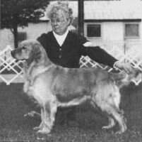 UKC Kyrie Ty's Ruffian CCA