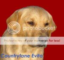 Countrylane Evita