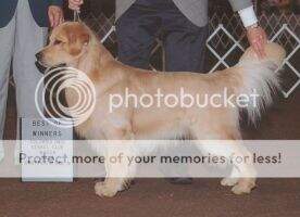 Stonecrestsherlock'ssidekick
