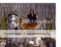 Creeksidefrm's Kirby's Legacy SDHF/OD /BISS ; BVISS/BOS/Best CanBred/National