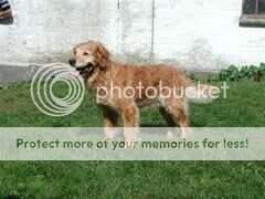 Endrickbank Charmer Endrickbank Charmer