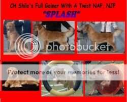 Shilo's Full Gainer With A Twist