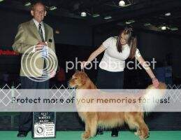 Wingate N Veragold's Derby Party