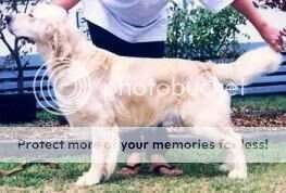 Kingsgold Montazuma Mac Kingsgold Montazuma Mac
