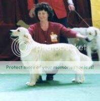 Australian Champion Jonesh Emily Bronte Australian Champion Jonesh Emily Bronte